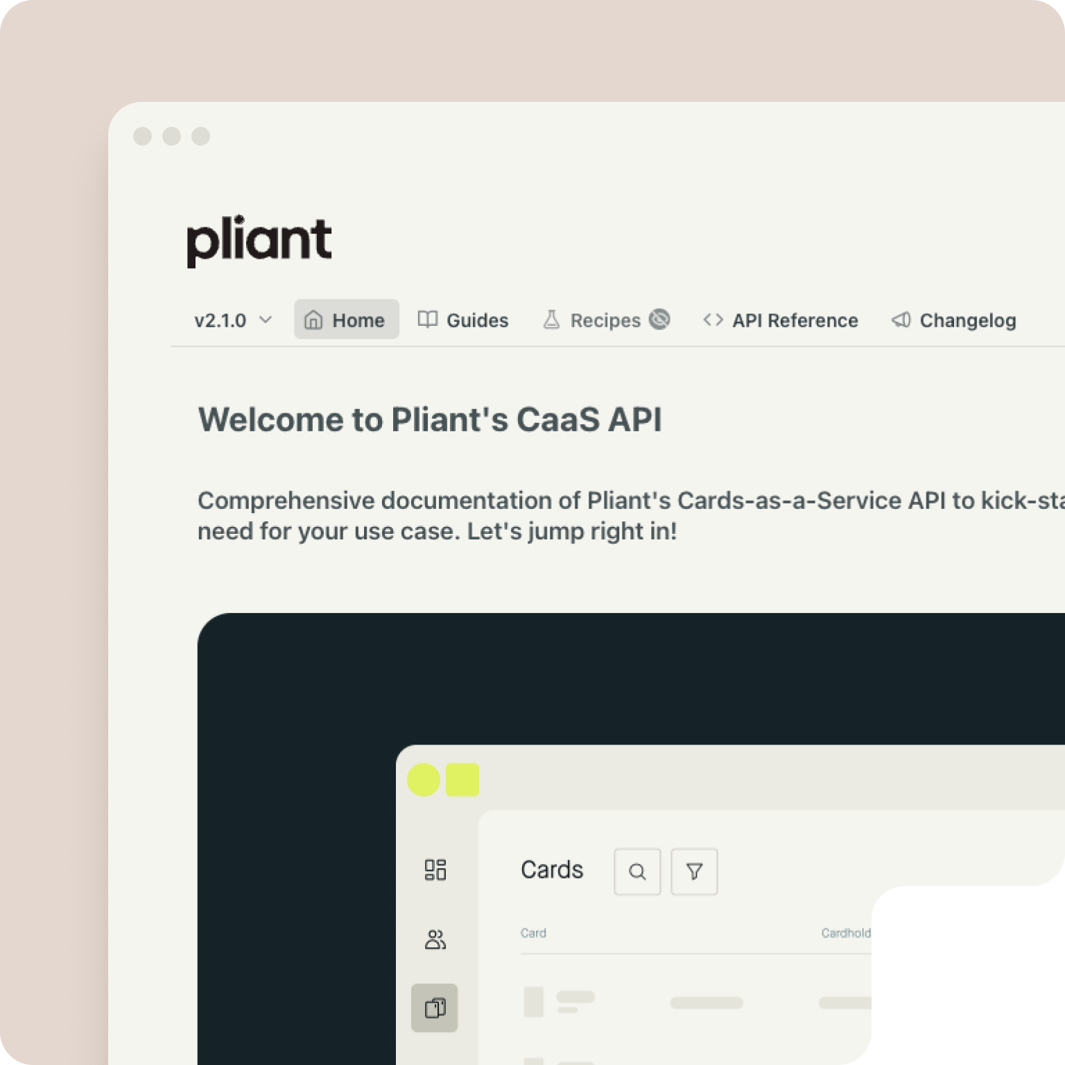 Pliant CaaS API documentation